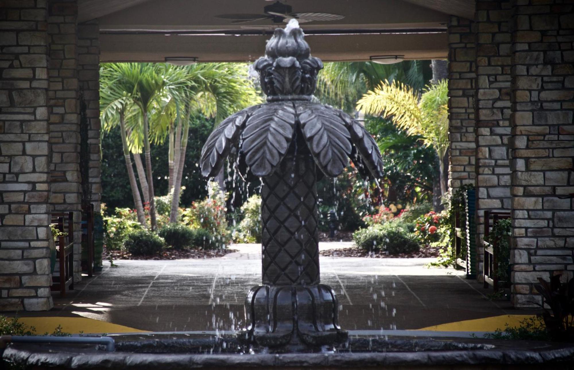 Magic Tree Resort Four Corners Buitenkant foto